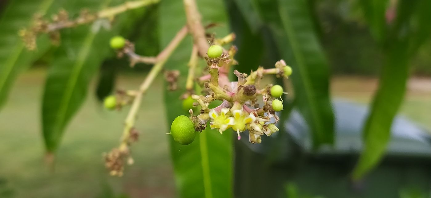 麻花影视 · 图文阅读